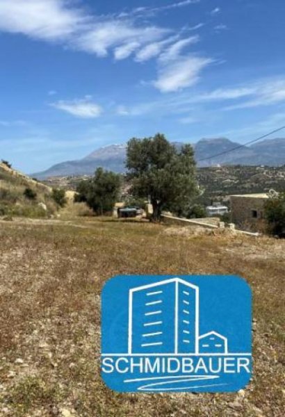 Pitsidia Kreta, Pitsidia: Grundstück am Ortsrand zu verkaufen Grundstück kaufen